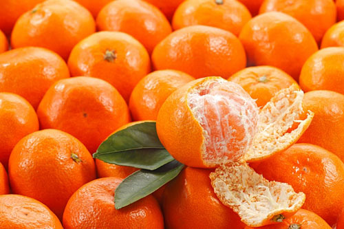 Cách chọn hoa quả như cam, quýt, xoài là chọn quả cầm chắc tay, da bóng sáng