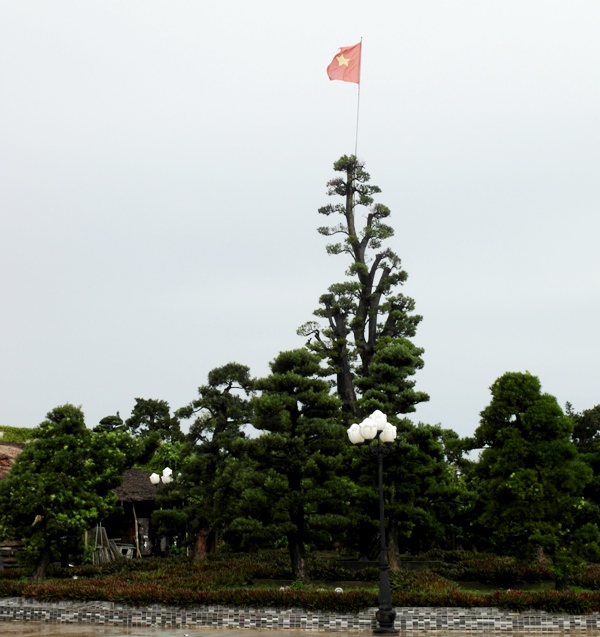 Điểm đặc biệt nhất trong khuôn viên dinh thự có rất nhiều cây kiểng cổ thụ...quý trị giá lên đến cả tỷ đồng. Ảnh: VietNamNet