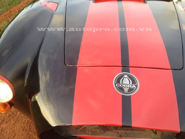 Logo rắn hổ mang biều tượng của những chiếc Shelby Cobra cũng xuất hiện trên bản độ.