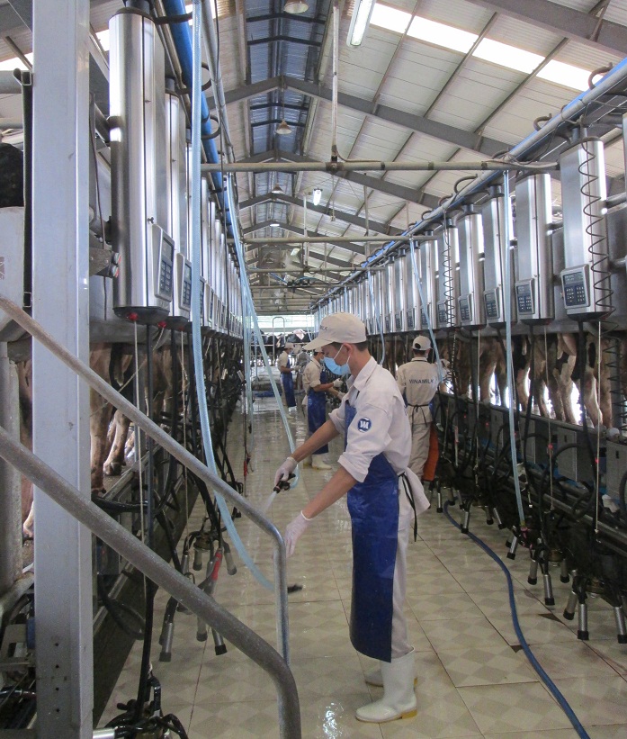 Ngành sữa Việt Nam có nhiều tiềm năng phát triển