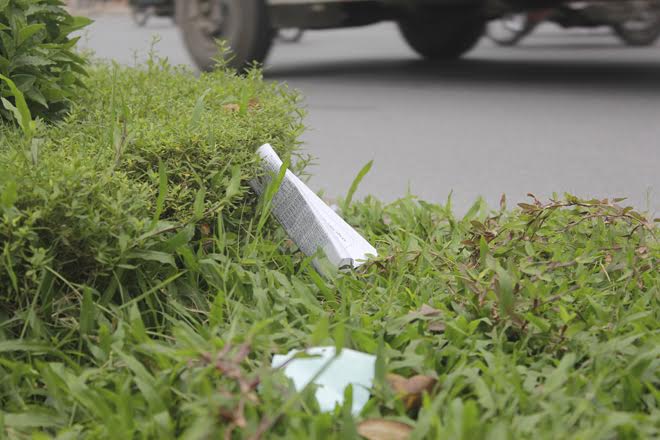 Không có người chăm sóc cũng dẫn đến tình trạng rác bẩn mắc trên thảm cỏ