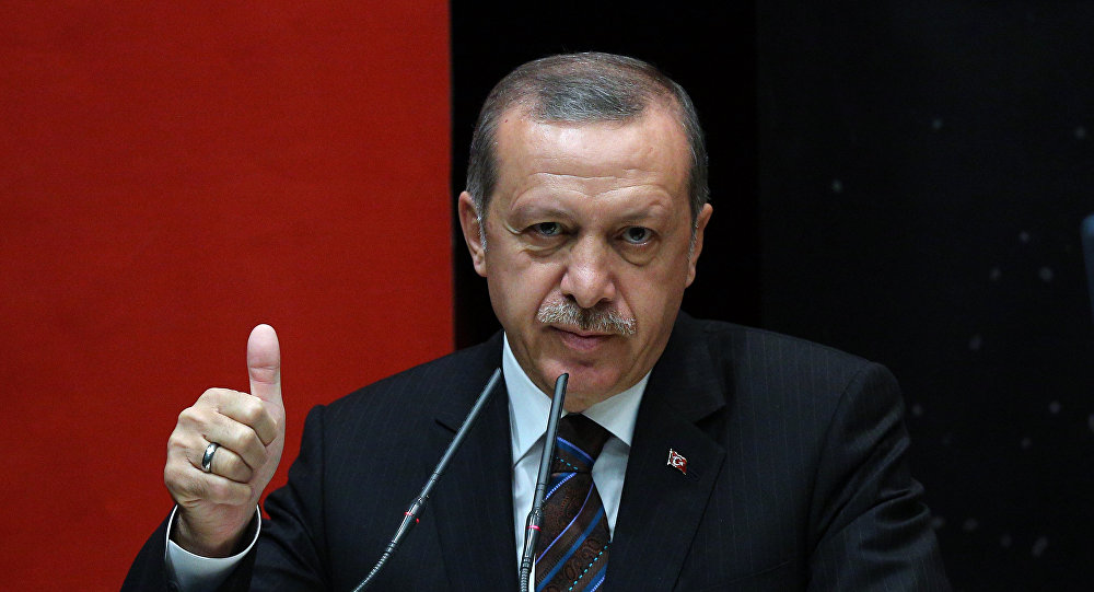 Chính phủ Thổ Nhĩ Kỳ vừa bắt giữ ‘biệt đội tử thần’ bị cáo buộc có âm mưu bắt cóc Tổng thống Erdogan