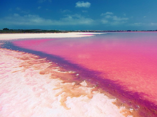 2 hồ nước muối màu hồng có tênLas Salinas de Torrevieja nằm gần thành phố Torrevieja, tây nam Tây Ban Nha. Nước hồ có màu hồng do một loại tảo đặc biệt gây ra trong những điều kiện nhất định.