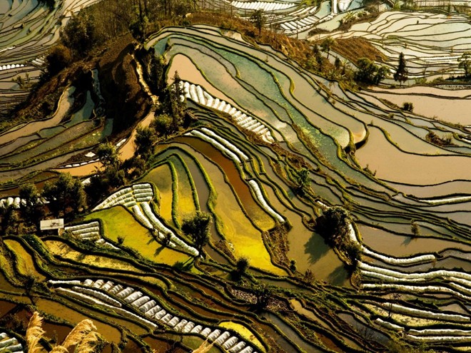 Ruộng bậc thang ở Vân Nam, Trung Quốc hình thành trên các sườn đồi. Sự khác nhau của các thảm thực vật ở đây tạo thành màu sắc và hình dạng đẹp mắt cho ruộng bậc thang.