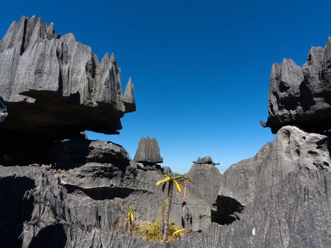 Công viên Quốc gia Tsingy de Bernaraha ở Madagascar là một di sản thế giới được UNESCO công nhận. Công viên này có cánh đồng đá vôi với những hình thù kỳ lạ.