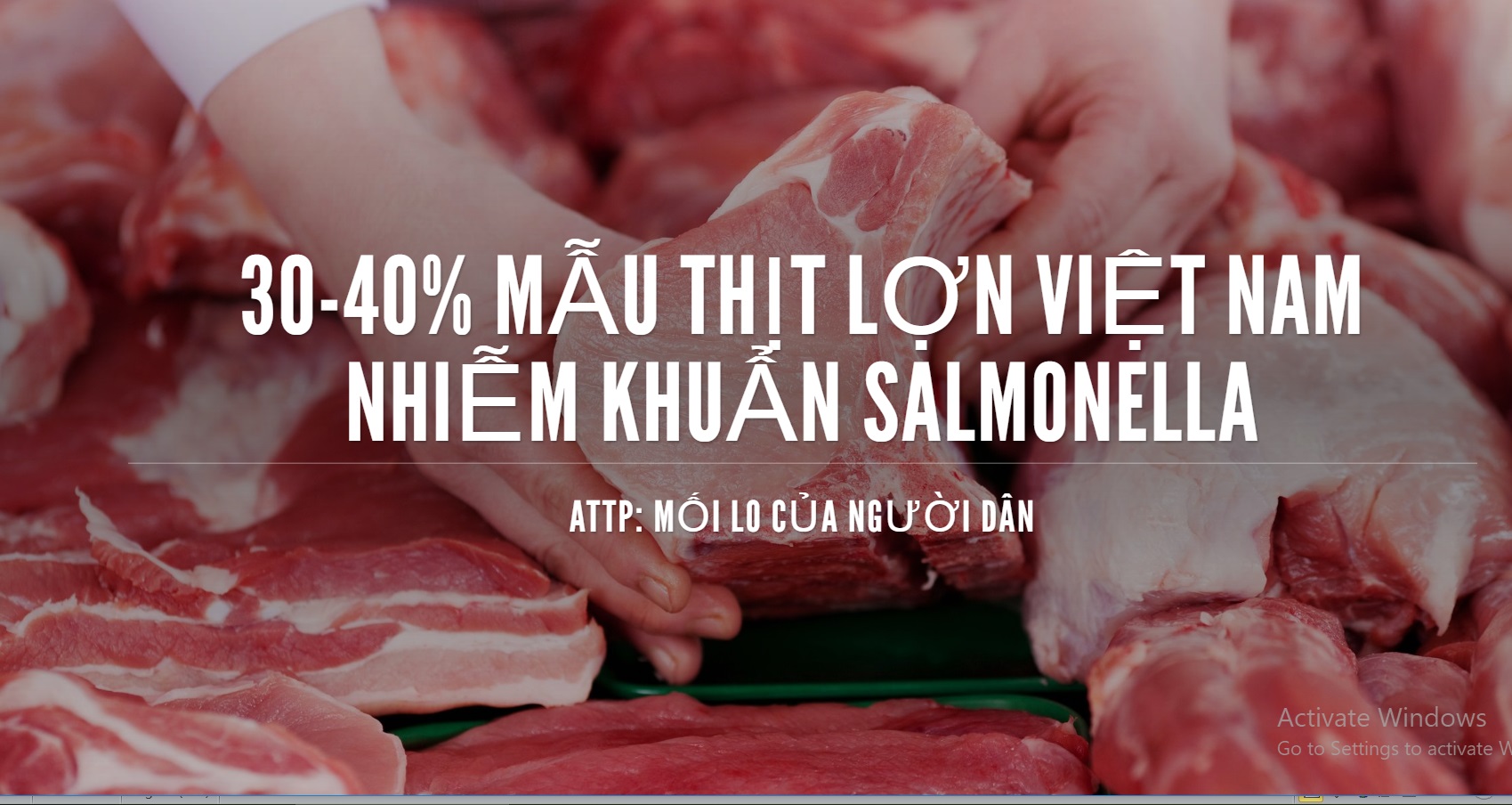 Nguy cơ ngộ độc, mắc bệnh đường ruột từ thịt nhiễm khuẩn Salmonella - ảnh 1 Nguy cơ ngộ độc, mắc bệnh đường ruột từ thịt nhiễm khuẩn Salmonella - ảnh 1