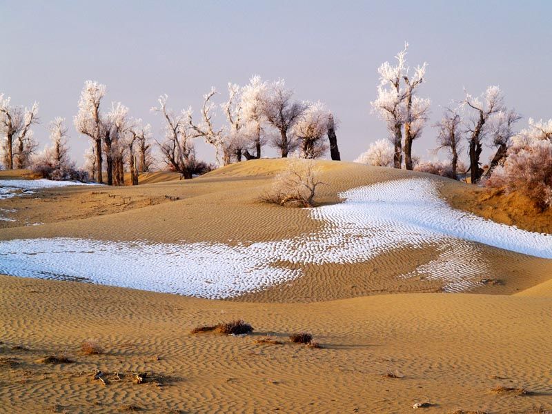 Tuyết rơi giữa sa mạc cũng là một hiện tượng thời tiết cực lạ lẫm từng xảy ra trên Trái đất. Trung bình cứ 7 năm tuyết lại rơi trên đỉnh Tibesti thuộc sa mạc Sahara một lần.