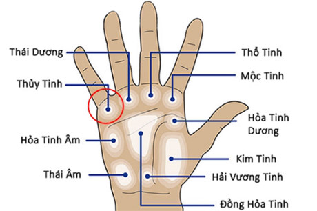 Bàn tay có đặc điểm này không phú cũng quý, cả đời may mắn Bàn tay có đặc điểm này không phú cũng quý, cả đời may mắn