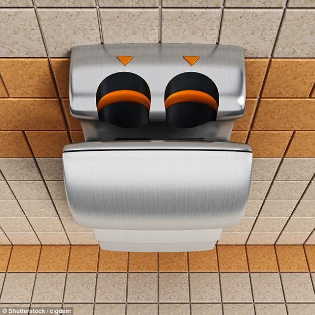 Tiếng ồn từ máy sấy tay siêu tốc trong nhà vệ sinh có thể phá hỏng thính giác - ảnh 1