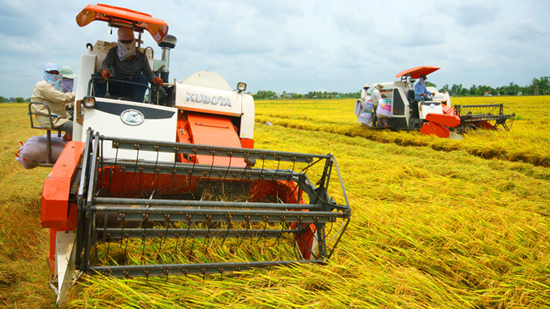 Tái cơ cấu nông nghiệp: Đẩy mạnh ứng dụng KH&CN là cấp bách
