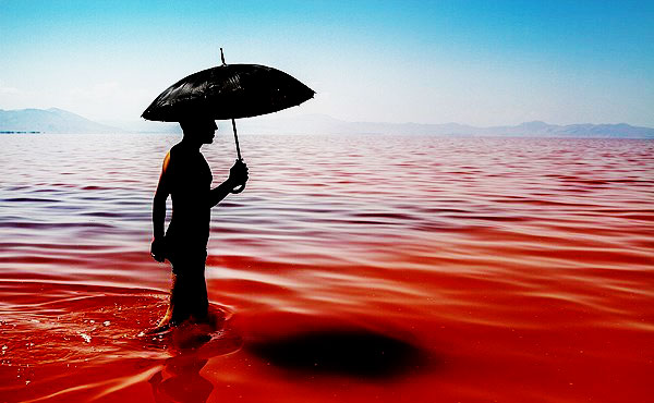 Hồ nước Urmia ở Iran chuyển màu kỳ lạ do hiện tượng tự nhiên có tên là thủy triều đỏ. Ảnh Fars News Agency