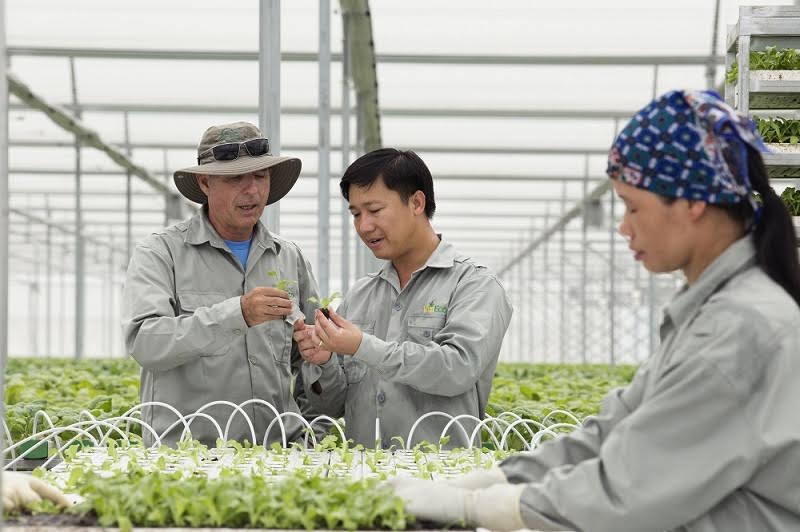‘Gỡ khó’ đưa hợp tác xã nông nghiệp ứng dụng công nghệ cao - ảnh 1