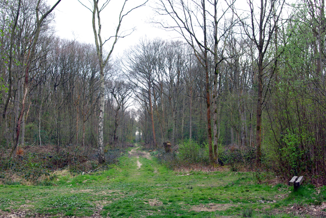 Rừng Dering, Anh: Khu rừng Dering nằm ở phía nam Pluckley, quận Kent, nơi được coi là ngôi làng bị ám đáng sợ nhất nước Anh. Dering còn có một cái tên khác, đó là The Screaming Woods (Khu rừng thét), do những người dân sống ven rừng thường nghe thấy tiếng thét vọng ra lúc nửa đêm. 