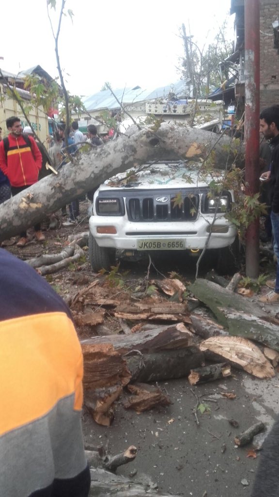 Cây đổ lên xe ô tô do động đất gây ra ở vùng Kashmir, Ấn Độ