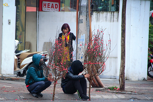 Từng cơn gió rét thổi thốc vào mặt khiến hai thanh niên bán đào tết phải mặc áo ấm và quấn khăn kín mít cho đỡ lạnh
