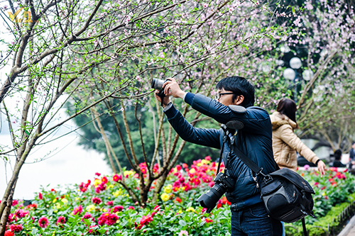  Hoa đào nở rộ thu hút sự chú ý của rất nhiều những nhiếp ảnh gia từ chuyên nghiệp đến không chuyên đến say mê chụp ảnh.