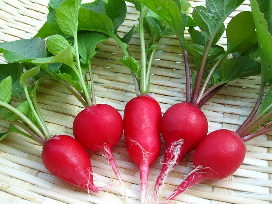 Củ cải đỏ cung cấp nguồn năng lượng dồi dào và giúp tăng cường hệ miễn dịch