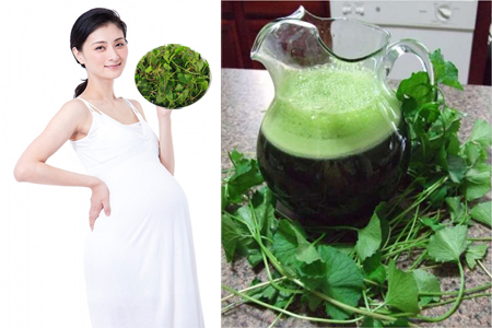 Những người không nên ăn rau má kẻo ‘rước họa vào thân’ Những người không nên ăn rau má kẻo ‘rước họa vào thân’