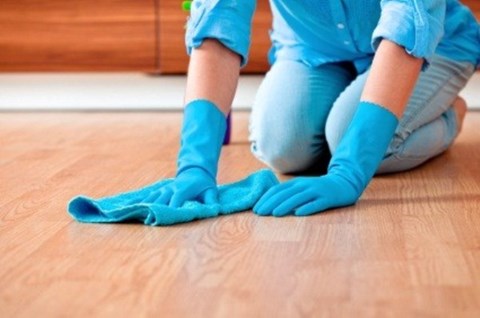 Thường xuyên lau chùi căn nhà của bạn để tránh bụi bẩn