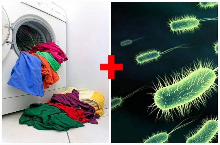 Máy giặt chứa ổ vi khuẩn nhiễm bệnh