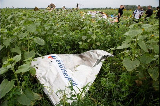 Xác nạn nhân vụ MH17 rơi vương vãi trong những luống hoa hương dương ở Ukraine
