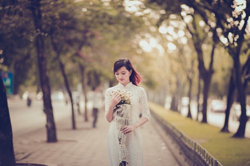 Hình ảnh cô gái ôm bó cúc họa mi bước đi giữa phố Hà Nội đẹp như một bức tranh. Cánh hoa nhỏ, thân hoa mềm, sắc hoa trắng, cúc họa mi là biểu tượng của mùa đông. Ảnh 24h
