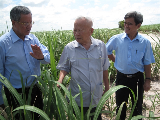 Ông quê tại xã Thái Sơn, Thái Thụy, Thái Bình. Ông tốt nghiệp kỹ sư nông nghiệp, công tác trong ngành nông nghiệp trước khi chuyển sang chính trường giữ các chức vụ: Ủy viên Thường vụ Thành ủy Hà Nội [2] (1983), Phó Chủ tịch ủy ban nhân dân TP Hà Nội, Phó bí thư Thành ủy Hà Nội