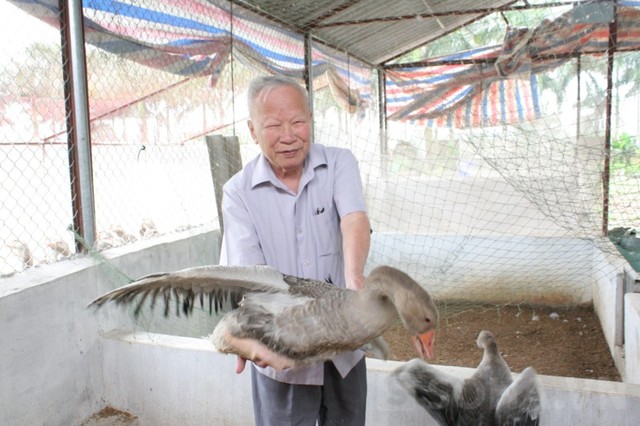 Sau khi nghỉ hưu ông thành lập trường Đại học Dân lập Thành Tây tại quận Hà Đông, Hà Nội và luôn quan tâm đến lĩnh vực nông nghiệp. Năm 2007 ông làm Chủ tịch Hiệp hội các doanh nghiệp vừa và nhỏ ngành nghề nông thôn (Varisme)