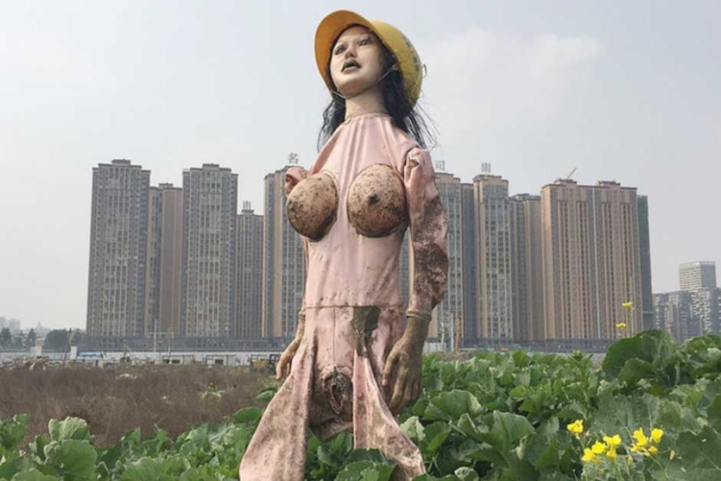 Một nông dân ở tỉnh Tứ Xuyên (Trung Quốc) đã sử dụng một con búp bê tình dục bị hỏng làm bù nhìn với hi vọng đuổi chim chóc khỏi cánh đồng của mình.