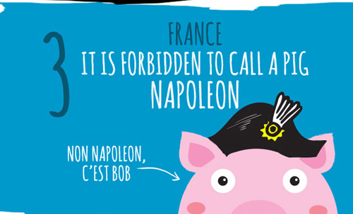 Ở Pháp không được phép đặt tên cho một con lợn là Napoleon