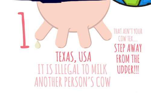 Tại bang Texas nước Mỹ, sẽ phạm luật nếu bạn lấy sữa một con bò của người khác