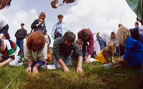 Cuộc thi bắt giun đất được tổ chức thường niên ở Wilaston (Cheshire, Anh) kể từ năm 1983. Các thí sinh sẽ phải vận dụng tất cả những phương pháp có thể để 'thuyết phục' giun đất bò ra ngoài. Kỷ lục thế giới hiện nay được một cô bé 10 tuổi lập vào năm 2009, với thành tích là 567 con giun.