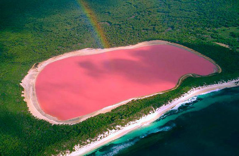 Nước màu hồng là đặc trưng của hồ Hillier ở Australia. Màu nước này duy trì ngày đêm và thậm chí vẫn giữ được màu khi được đóng vào chai. Các nhà khoa học vẫn chưa tìm ra nguyên nhân chính xác khiến nước hồ có màu sắc đặc biệt này.
