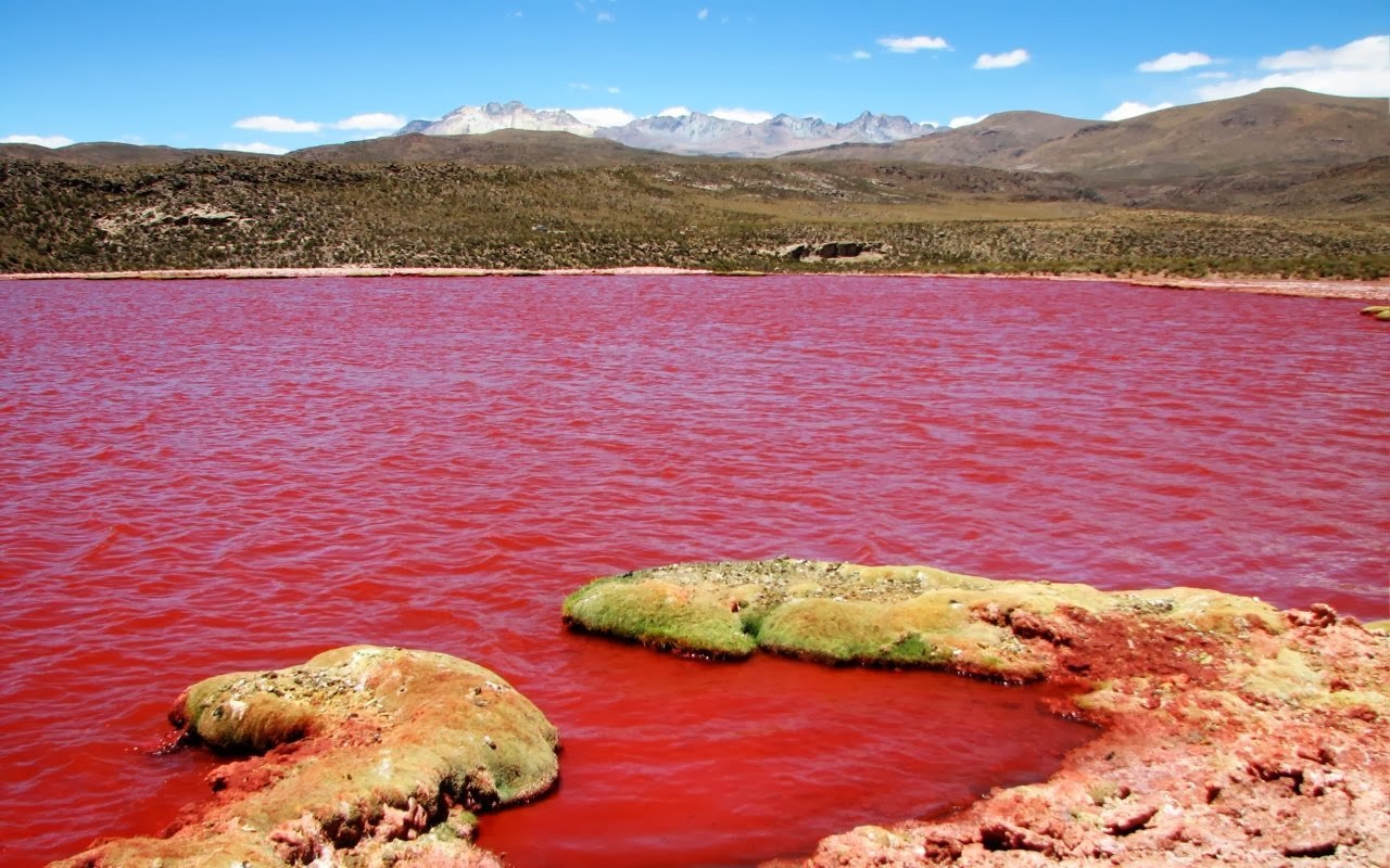 Bạn sẽ không cần phải lên tận sao Hỏa để sống trong không gian đỏ thẫm huyền bí vì hồ Laguna Colorada, Bolivia còn hấp dẫn hơn gấp bội. Lớp trầm tích lắng đọng đã khiến mặt nước hồ có màu đỏ và sự hiện diện của những đảo muối borac trắng xóa tạo nên vẻ đẹp kỳ lạ và hấp dẫn bất cứ vị khách du lịch nào ghé thăm. Tuy nhiên, những đảo muối kia chính là thành phần hàn the trong hợp chất tẩy rửa hàng ngày nên phải cẩn thận khi tiếp xúc với chúng.