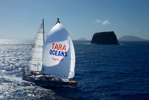 Hơn 100 nhà khoa học đã cùng ra khơi tại nhiều điểm khách nhau trên con thuyên mang tên Tara, nhằm thu thập những mẫu vật biển cho dù phải đối mặt với những cơn bão nam cực cũng như nạn cướp biển tại vùng Vịnh Aden.