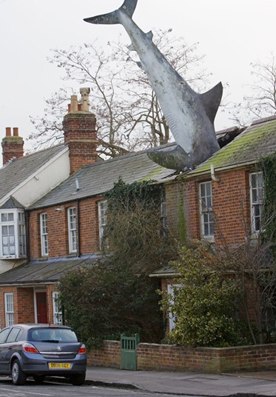 Ngôi nhà có kiến trúc độc đáo với nguyên một con cá mập trên mái nhà