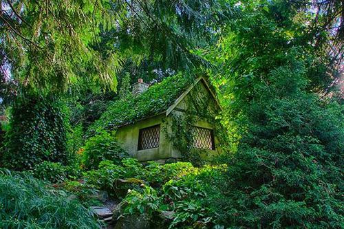 Nằm trong khu vườn tràn ngập sắc xanh của cây cối, ngôi nhà mang vẻ đẹp thần tiên có tên Fairy Tale Cottage ở Canada.