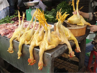để phân biệt đâu là gà vàng tự nhiên và đâu là gà vàng do nhiễm chất vàng ô thì không thể dùng mắt thường