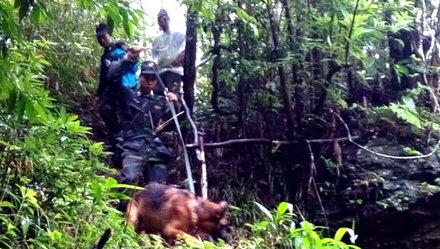 Thượng Tá Dũng cũng cho hay: ''Các cơ quan chức năng cùng gia đình đã thống nhất phương án vận chuyển thi thể bằng hệ thống cáp treo công vụ (cáp LCS) 3 dây của Công ty cáp treo Fansipan Sa Pa''.