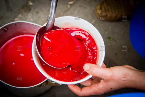 Nhưng lại là nỗi kinh hoàng với người nước ngoài khi đến du lịch Việt Nam