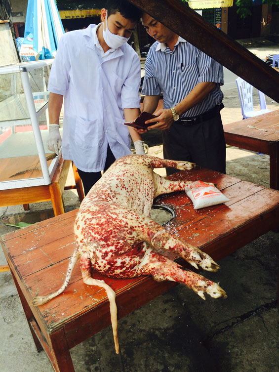 Đoàn kiểm tra phát hiện thịt lợn bị xuất huyết tại quán Hải Béo 