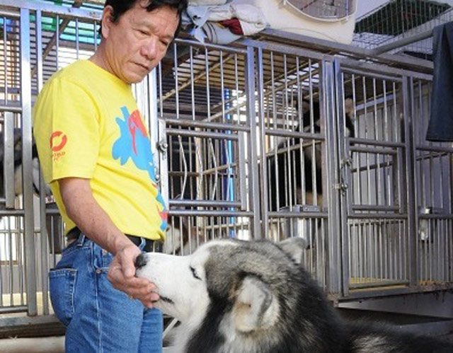 Cách đây vài năm, đại gia Lê Chính ở TPHCM từng gây sốt trong giới chơi siêu khuyển khi bỏ ra hàng chục nghìn USD nhập chó Alaska (Mỹ) về Việt Nam.