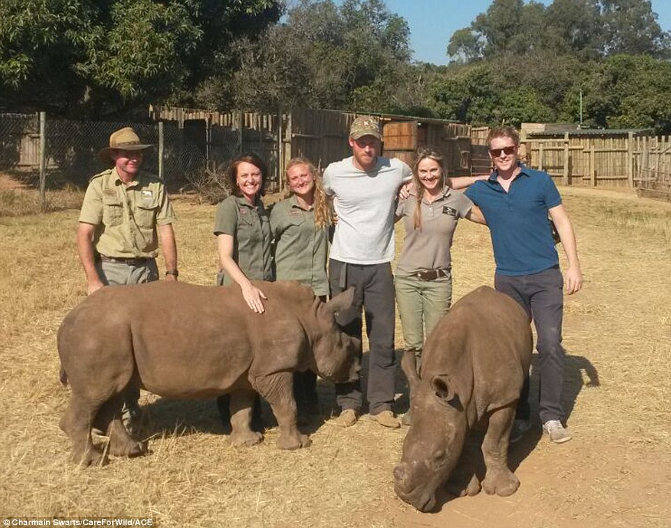 Hugh Grosvenor (trái) với hoàng tử Harry (giữa) trong chuyến thăm một trung tâm phục hồi chức năng tê giác ở Nam Phi vào năm 2015.