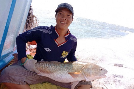 ca-mau-xon-xao-ngu-dan-bat-duoc-ca-6kg-nghi-su-vang-tien-ty ca-mau-xon-xao-ngu-dan-bat-duoc-ca-6kg-nghi-su-vang-tien-ty