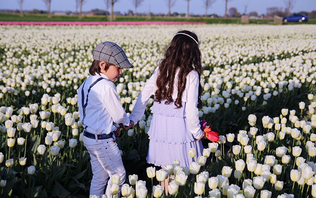 Những ruộng hoa tulip như đẹp thêm khi có bóng dáng xuất hiện của các thiên thần.