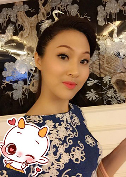 Năm 2015, cô gái đến từ Đà Nẵng thử sức ở cuộc thi Hoa hậu Hoàn vũ Việt Nam. Lúc này, Diệu Ngọc cao 1m80 với số đo 3 vòng là 86-64-95. 
