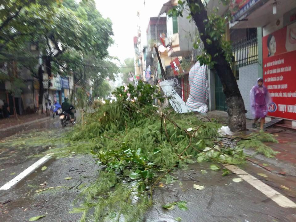 Tại tuyến phố Thụy Khuê, đoạn quá trường Trung học Chu Văn An (hướng về đường Thanh Niên) đã xuất hiện 1 cây đổ chắn ngang đường, kéo theo dây cáp, dây điện trùng xuống đường.