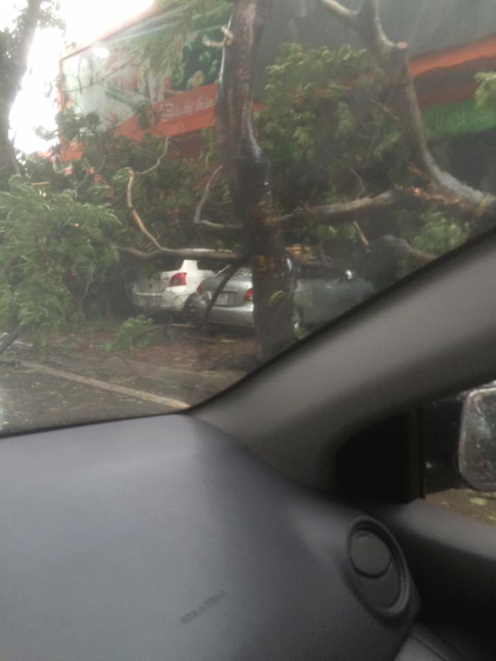 Hình ảnh 'tang thương' do hậu quả của mưa bão trên đường Ngọc Khánh.
