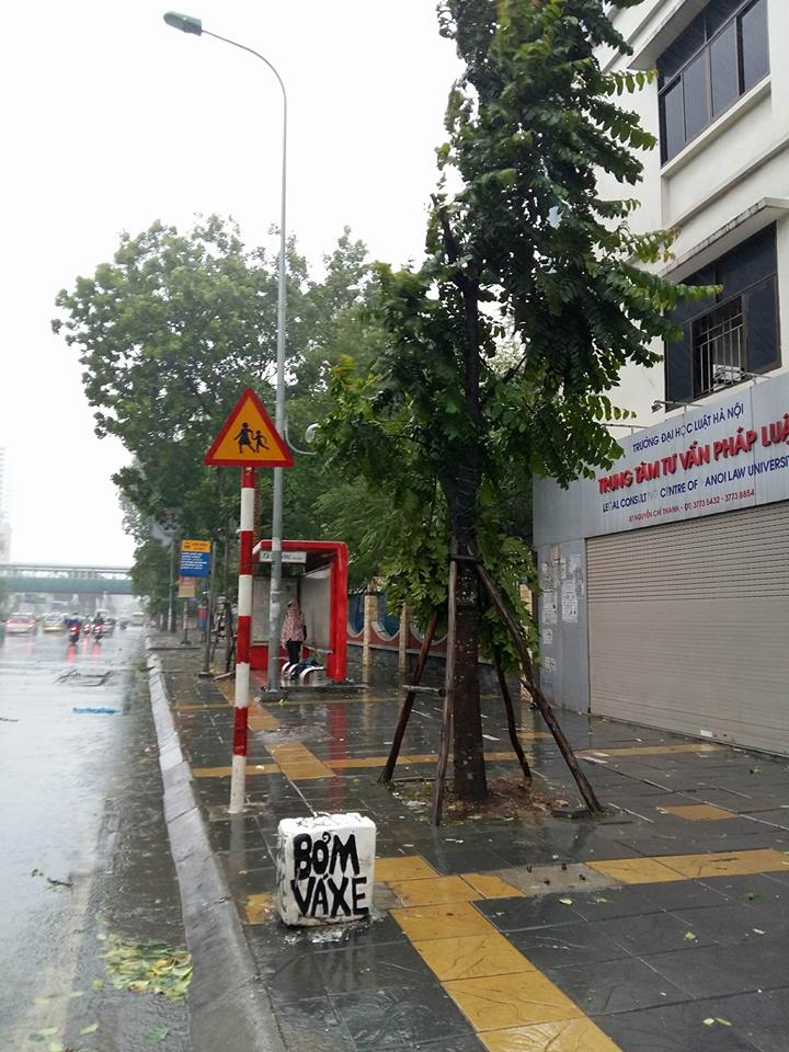 Trên trục đường Nguyễn Chí Thanh, hiện tại mưa lớn, gió rất mạnh. Khoảng hơn chục cây trồng ven đường đã đổ hoặc nghiêng, gãy... 