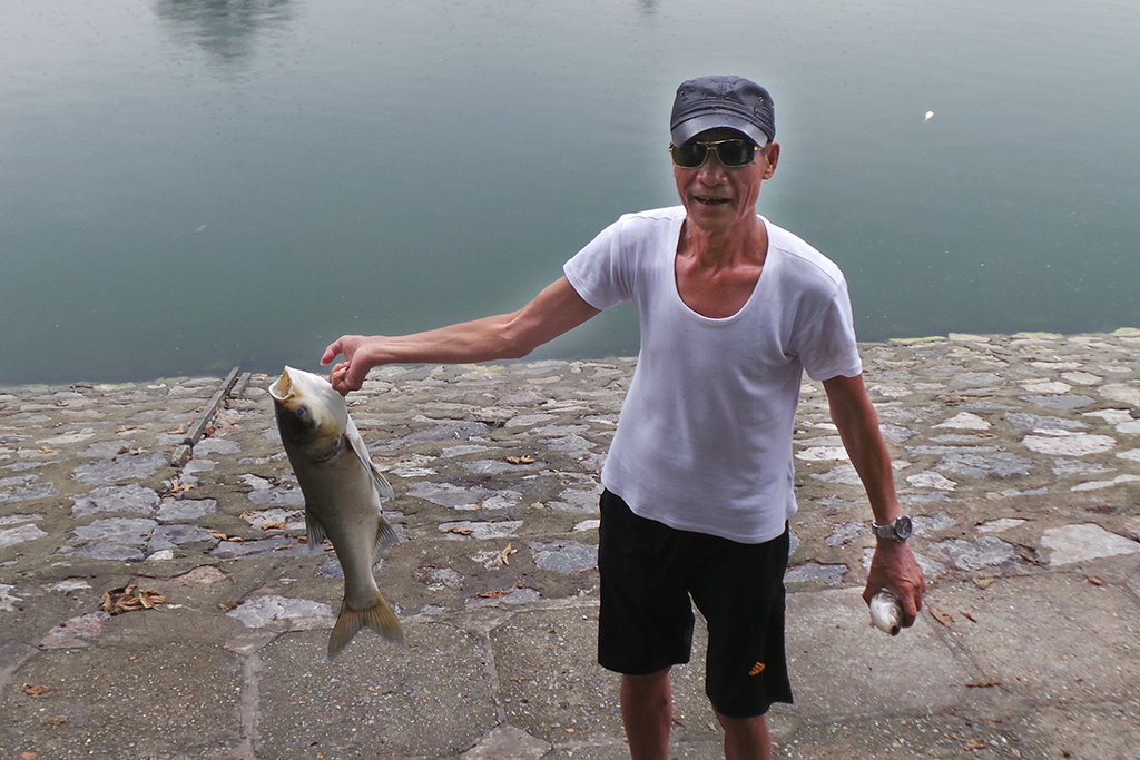 Ông Trần Doãn Mậu (Ba Đình, Hà Nội) tay cầm con cá mè khoảng trên dưới 5kg vừa vớt lên từ mép hồ. Người dân sống gần hồ cho biết, hiện tượng cá chết hàng loạt bắt đầu xuất hiện từ đêm hôm qua. Ảnh Dân Trí